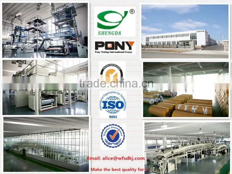 Polester Liner/Polyester Release Liners/PET Liner