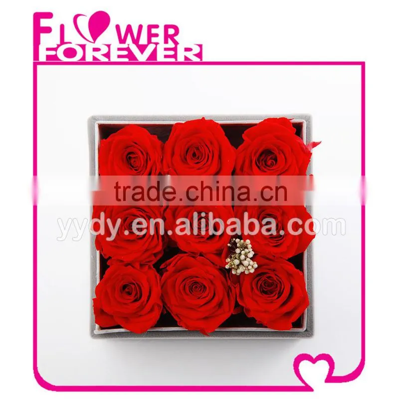 Wholesale Customized Preserved Flower
