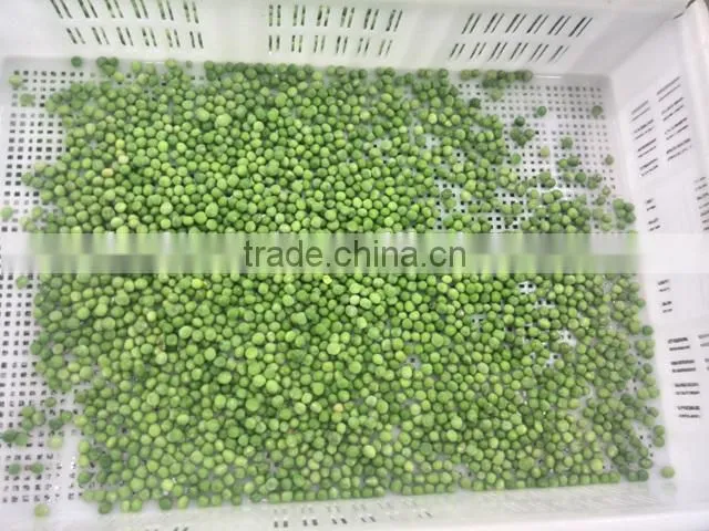 Frozen Green Pea