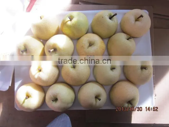 Chinese Gold pear,round pear