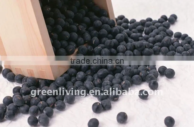 chinese black bean