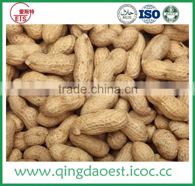 Related peanut products, blached peanut and fried peanut flavor