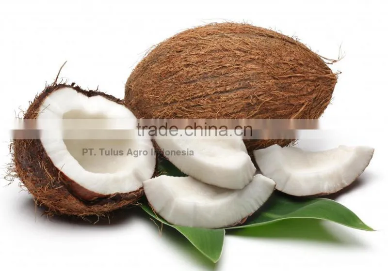 INDONESIA COCONUT PULP, COCONUT FIBER, COCONUT WATER AND CHARCOAL