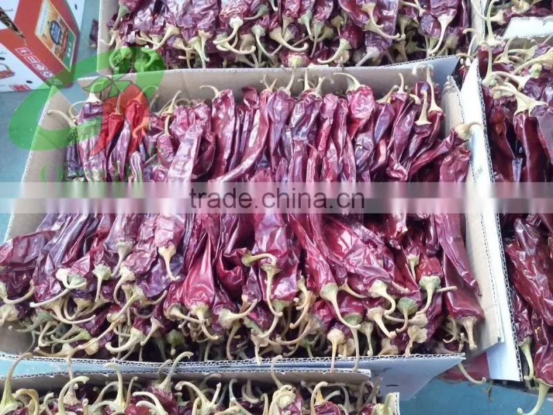 Mexico Market Water Washed Paprika Pod