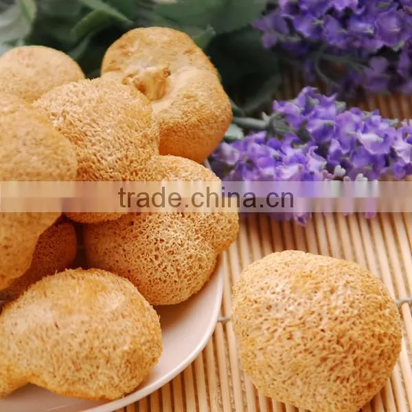 Hericium Erinaceus Mushroom Extract