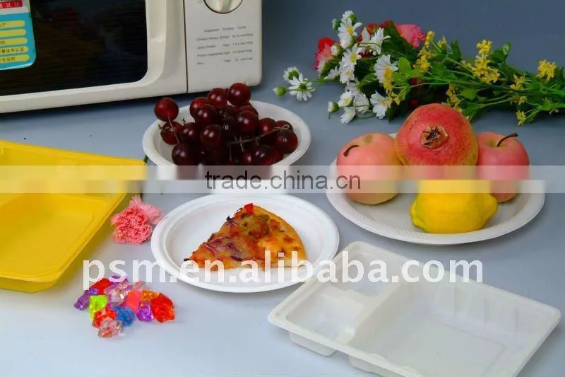 biodegradable dinner plate