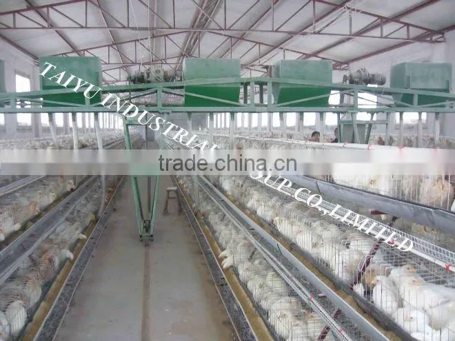 A type automatic chicken layer battery cage