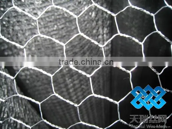pvc coated/galvanized hexagonal wire mesh
