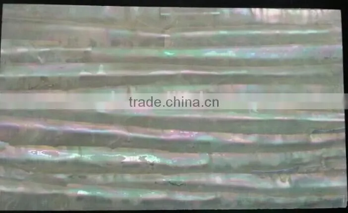 Straight stripe pattern Turbo Marmoratus shell laminates