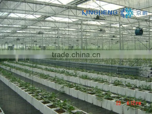 Glass Greenhouse for Agricultural ISO9001:2000