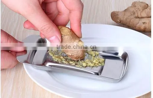 cy283 Mini Multifunction 2 Stainless Steel Blades Garlic Press Chopper Mincer