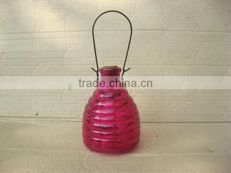 Hanging glass bee catcher