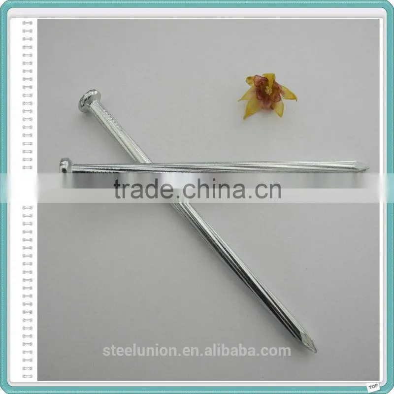 Galvanized Concrete Nails/Stainless Steel Concrete Nail Cheap Price
