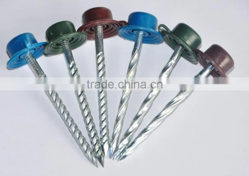 Twist shank roofing nails with plastic cap