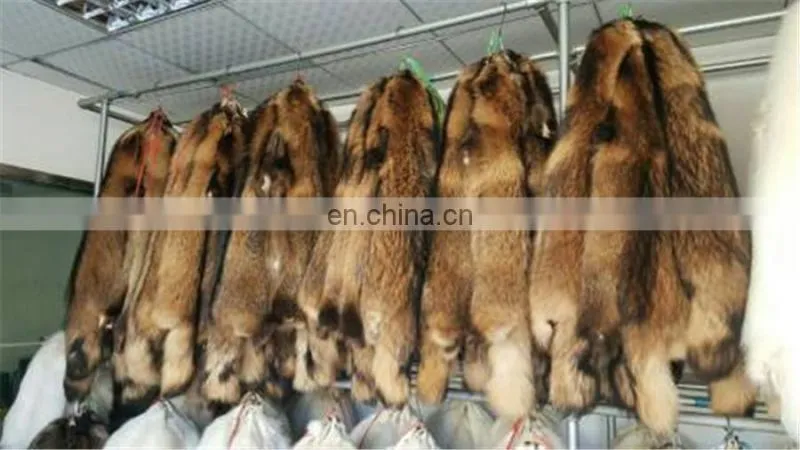 High quality genuine Raccoon fur skin for coat /garment