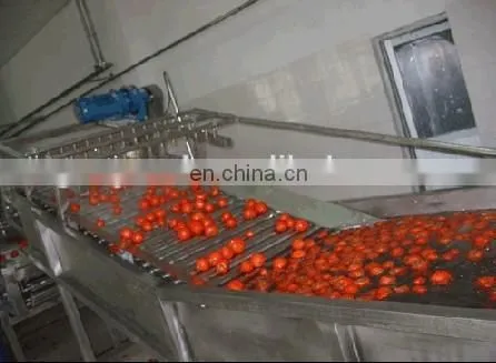 Potato Washing and sorting Machine