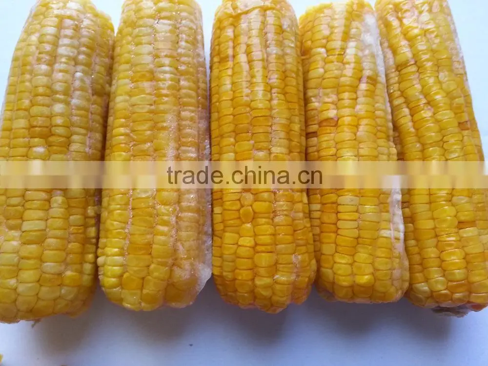 USA Frozen Yellow Sweet Corn from Vietnam