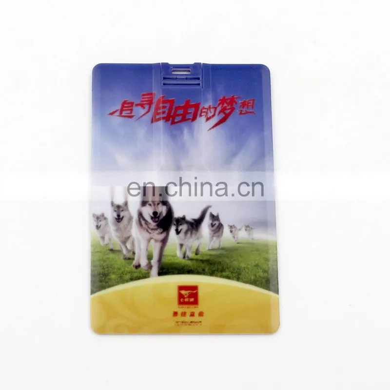 Shenzhen factory Credit Card USB Memory Sticks plastic usb card Flash Drive With Printing Logo