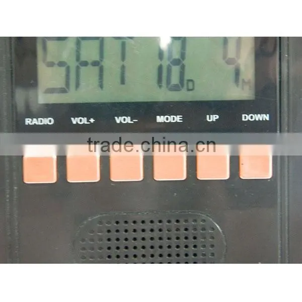 RCC Radio Controlled Clock and Weather Station