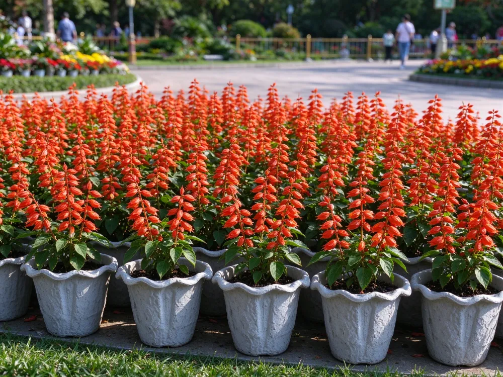 landscape-pot-garden-planter