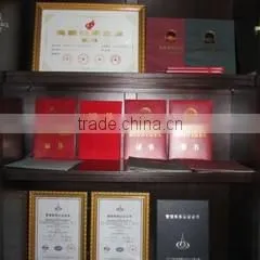 Fujian Allied Power EnTech Co., Ltd. company overview - view 3