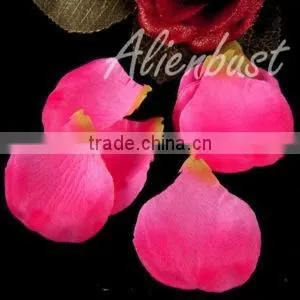 Gold silk rose petals, rose petals, wedding rose petals