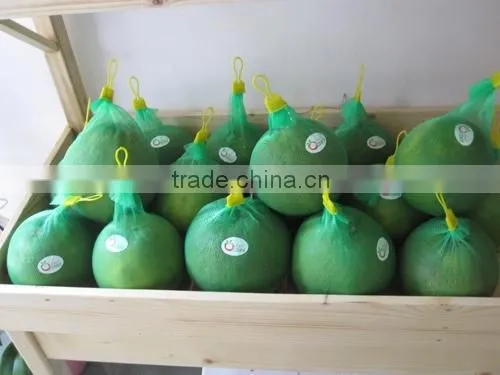 Fresh Honey Pomelo/ Grapefruit (Premium quality)