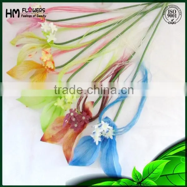 Ornamental Plants Lucy Cat