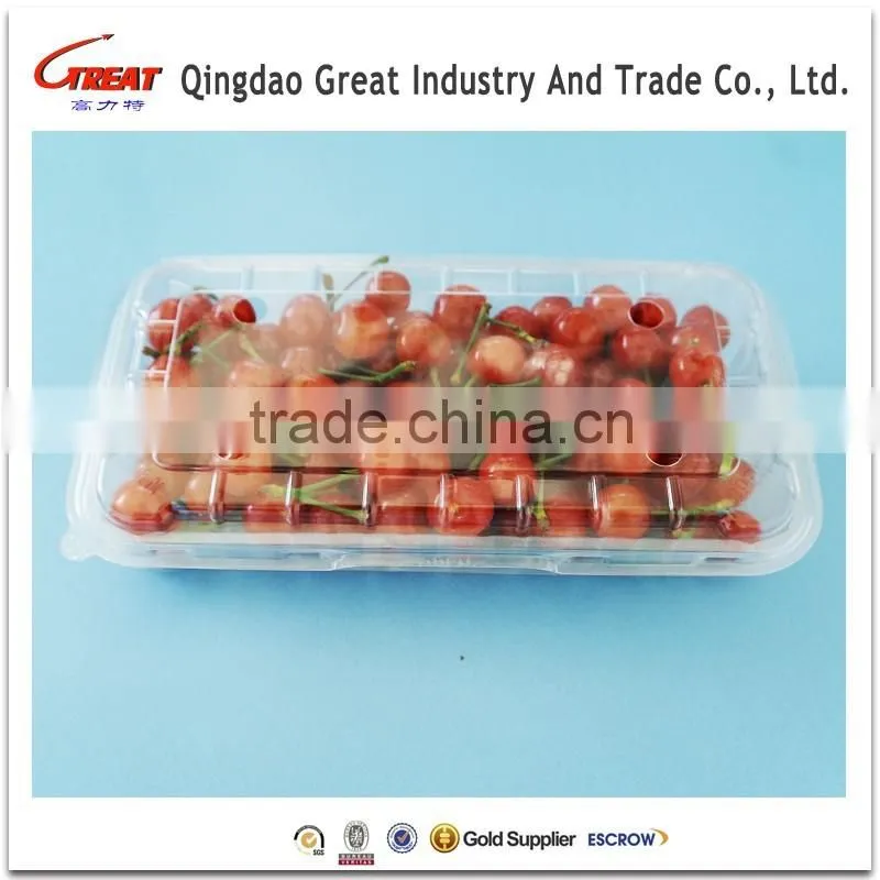 Disposable Rectangle Plastic Clear Fruit Containers with Lids