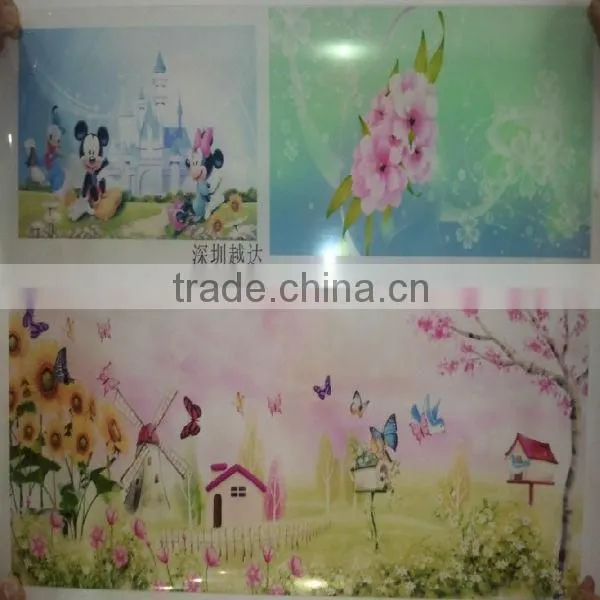 plexiglass and plastic digital printer machine