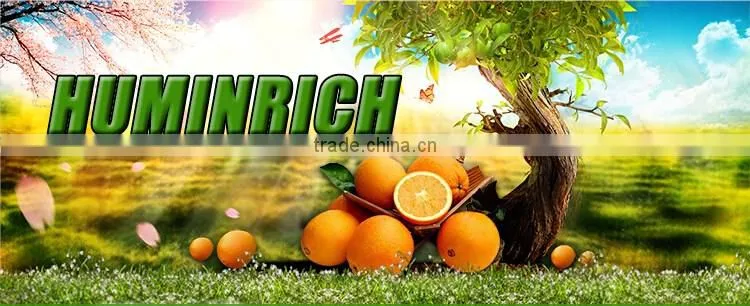 FAQ 26--How To Improve The Value Of Oranges?