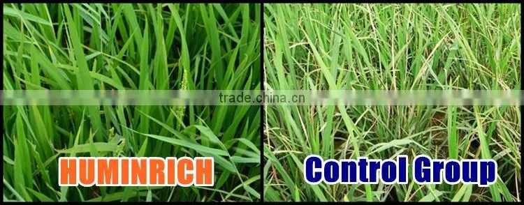 Huminrich 100% Instant Soluble Flush Foliar Spray Micronutrients In Crop Production