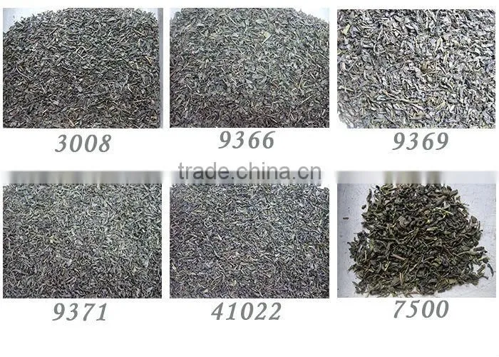 Hot selling 2015 green tea ctc