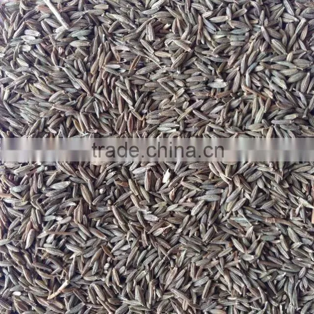 Fennel seed with good quality from CHINA for sale