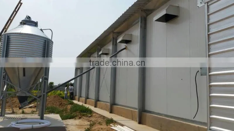 automatic broiler feeding line raising equipment