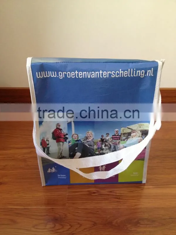 pp non woven travel bag