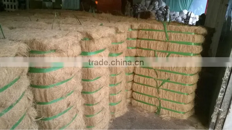 Coconut Fiber 2016 (qq : 2598494113)