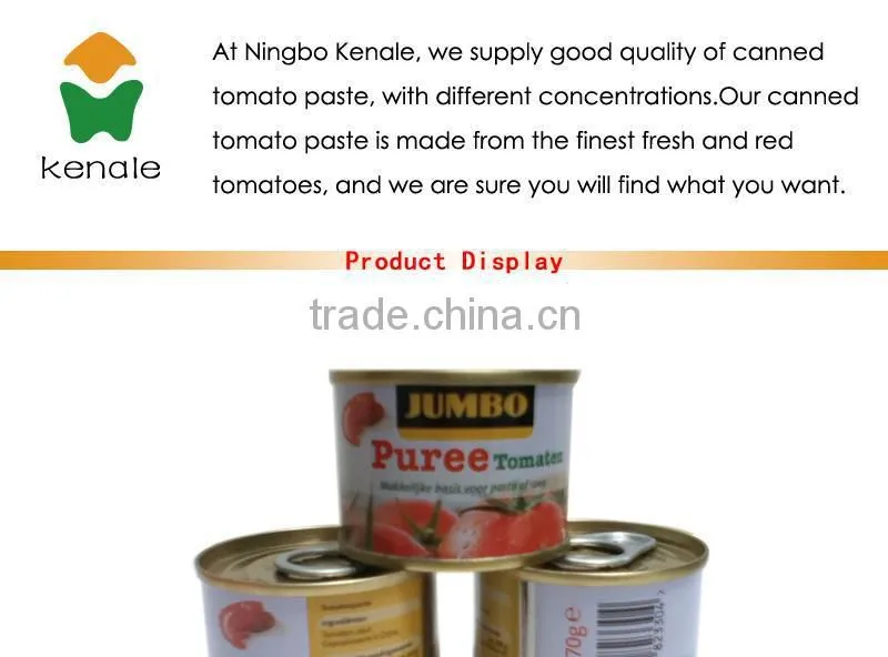 Tomato paste usa hot selling! 70gX50tins