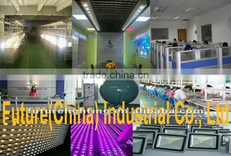 CE Rohs TUV approval outdoor lighting 10W RGB DC12/24V IP65 waterproof multi christmas color changing outdoor led flood light