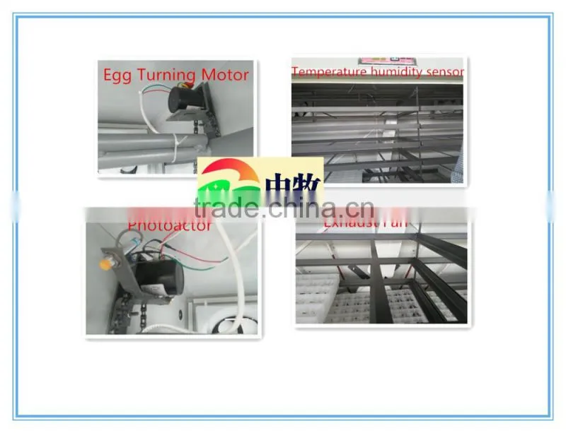hot sell duck egg incubator ZM-7056 digital temperature controller10000 chiken egg incubator