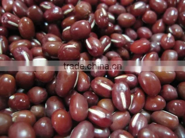 China Small Red Beans 2010 CROP