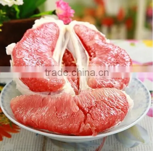 Pomelo, Shaddock tree seedlings