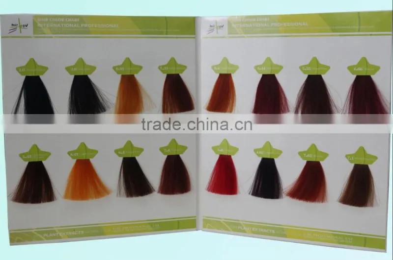 OEM Manufacturer Salon Professional Hair Dye Color Chart/Color Swatch Book