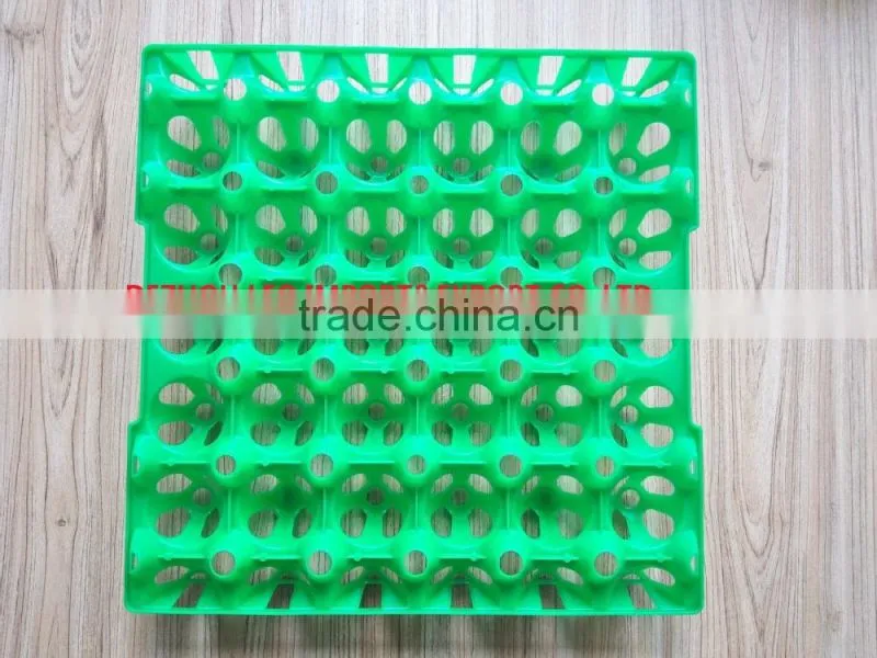 China High quality plastic egg tray for 30 chicken eggs