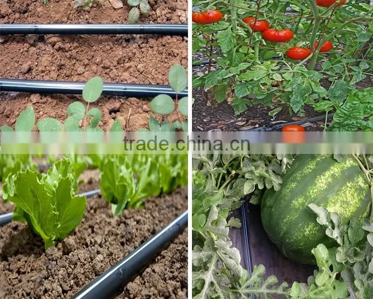 Linear type double line drip tape for drip irrigation system