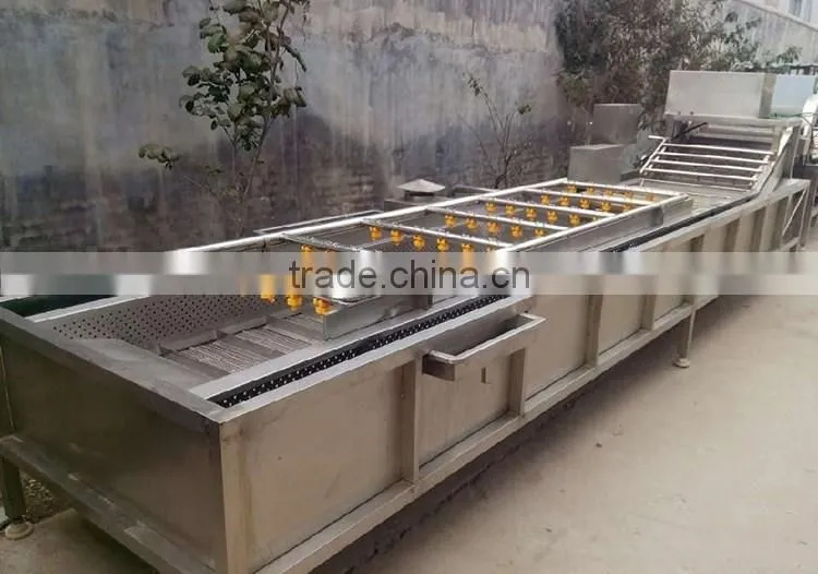 hot sale vegetable bubble washing machine/bean sprout washer machine/bean washing machine