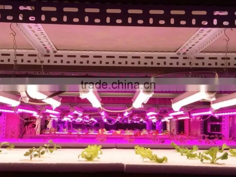 seedling growing light 20w t8 4ft LED plant lamp tube better than mars