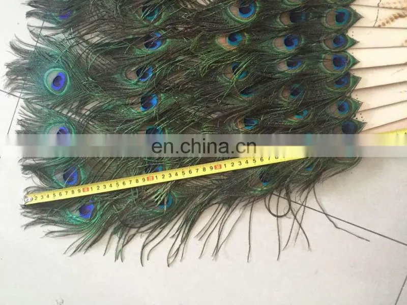 220cm large decorative natural peacock feather fan for party