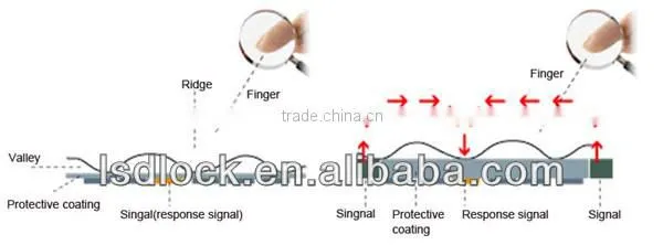 Electronic Fingerprint Indoor Door Lock
