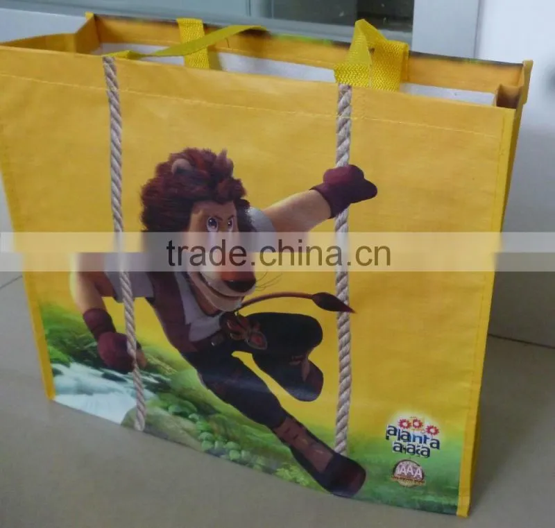 Vietnam Reusable PP Shopping Bag